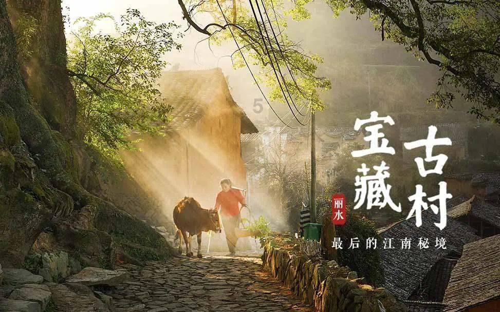 疯狂球球极限求生